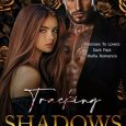 tracking shadows nikki blake