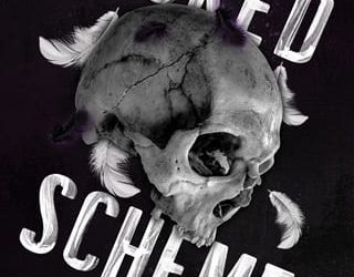 wicked schemes amy oliveira