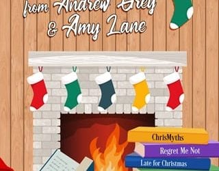 holiday cheer andrew grey