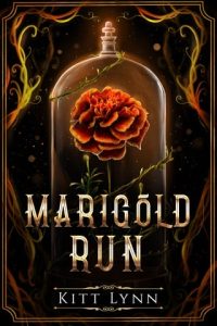 marigold run, kitt lynn