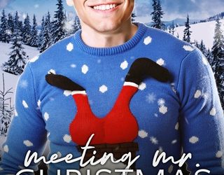 meeting mr christmas ali ryecart