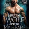 midlife wolf brittany white