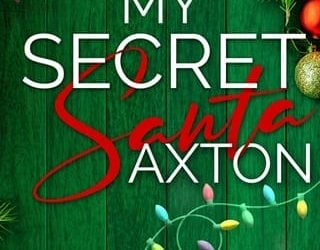 my secret santa blaire wilde