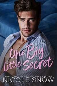 one big little secret, nicole snow