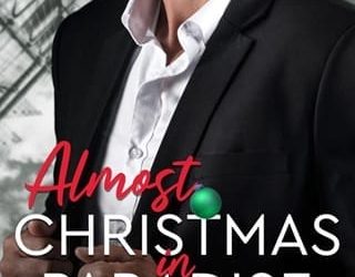 almost christmas evelyn sola