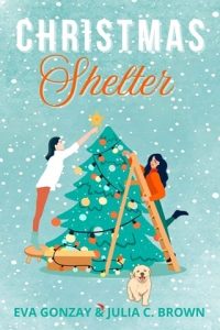 christmas shelter, eva gonzay