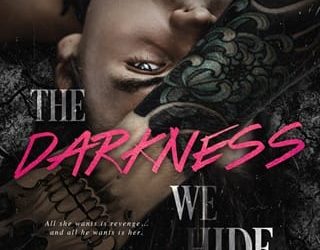 darkness we hide brynn ford