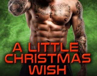 little christmas laylah roberts