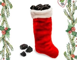 stuffed alexis winter