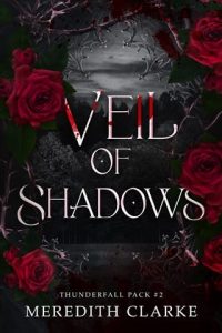 veil of shadows, meredith clarke