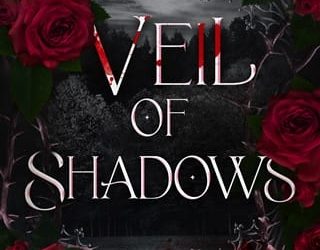 veil of shadows meredith clarke