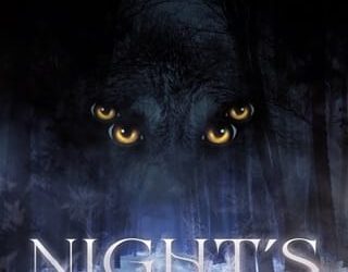 night's bride sj sanders