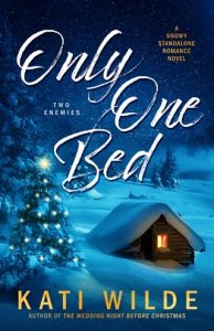 only one bed, kati wilde