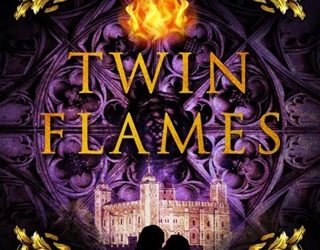 twin flames rachel henke