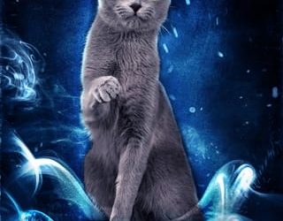 distinctly daray jessamyn kingley