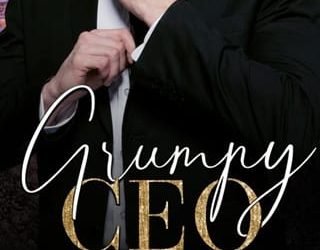 grumpy ceo ainsley st claire