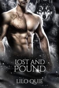 lost and pound, lilo quie