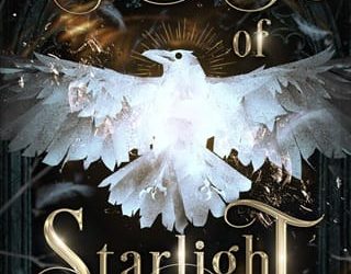 ruins starlight bc fajohn