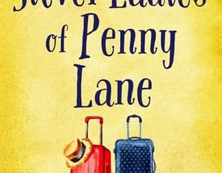 silver ladies dee macdonald