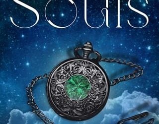 twisted souls shannon mclellan