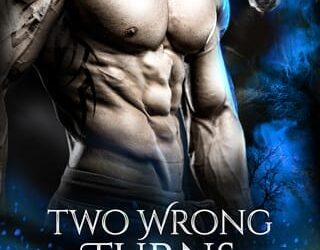 two wrong turns allie w scott