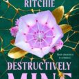 destructively mine krista ritchie