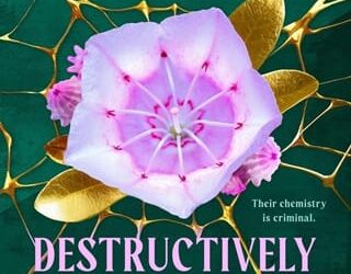 destructively mine krista ritchie