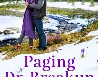 paging dr breakup jillian david