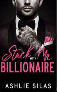 stuck with mr billionaire, ashlie silas