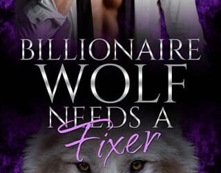 billionaire wolf needs fixer drusilla swan