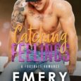 catching feeling emery quinn