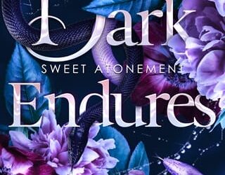 dark endures rora noir