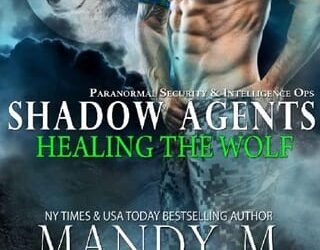 healing wolf mandy m roth