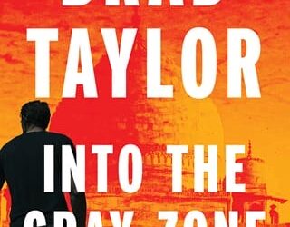 into gray zone brad taylor