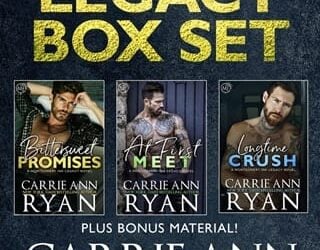 montgomery ink carrie ann ryan