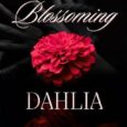blossoming dahlia bella reves