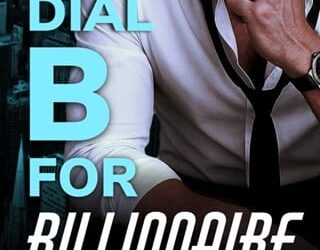 dial b for billionaire megan wade