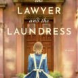 lawyer and laundress christine hill suntz