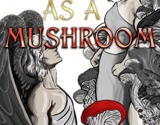 small mushroom deiri di