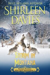 storm in montana, shirleen davies