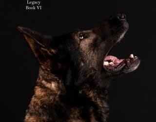 beware of dog lauren gilley