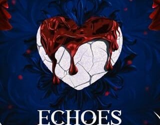 echoes in void raven hush