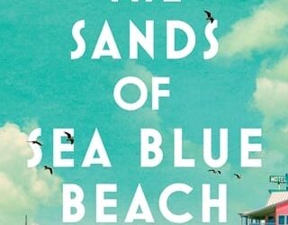 sands at sea blue rachel hauck