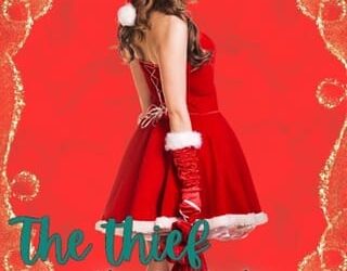 thief that stole christmas leslie ayla