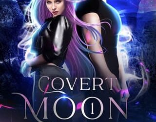 beginning lisa manifold