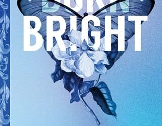 burn bright krista ritchie