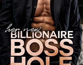 her new billionaire bosshole layla valentine