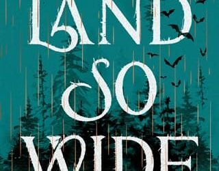 land so wide erin a craig