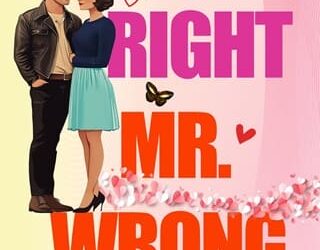 right mr wrong emily michel