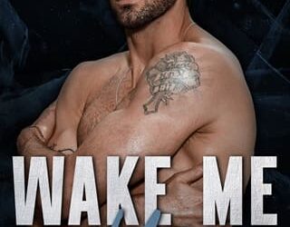 wake me up hannah gray